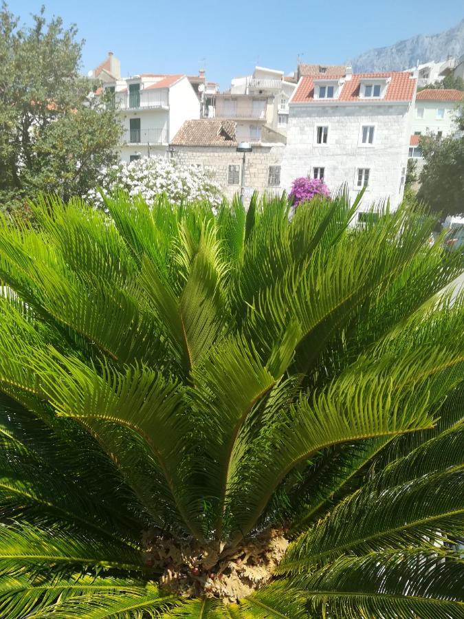 Apartmani Kike Makarska Extérieur photo