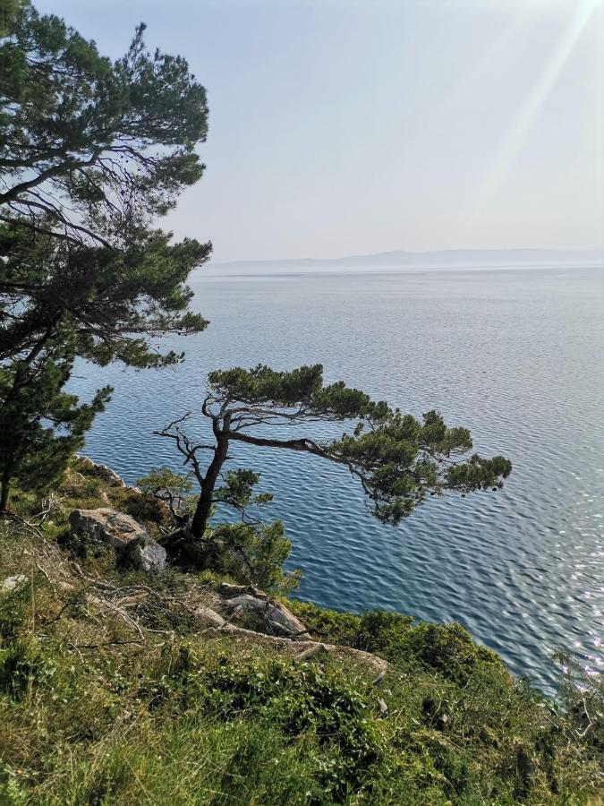 Apartmani Kike Makarska Extérieur photo